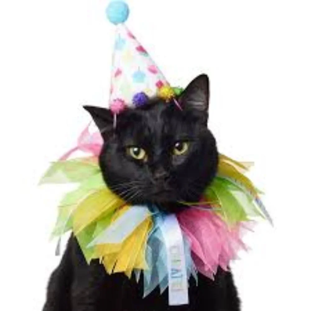 Frisco Cupcake Party Hat & Ruffle Collar Cat Birthday Accessory, One Size